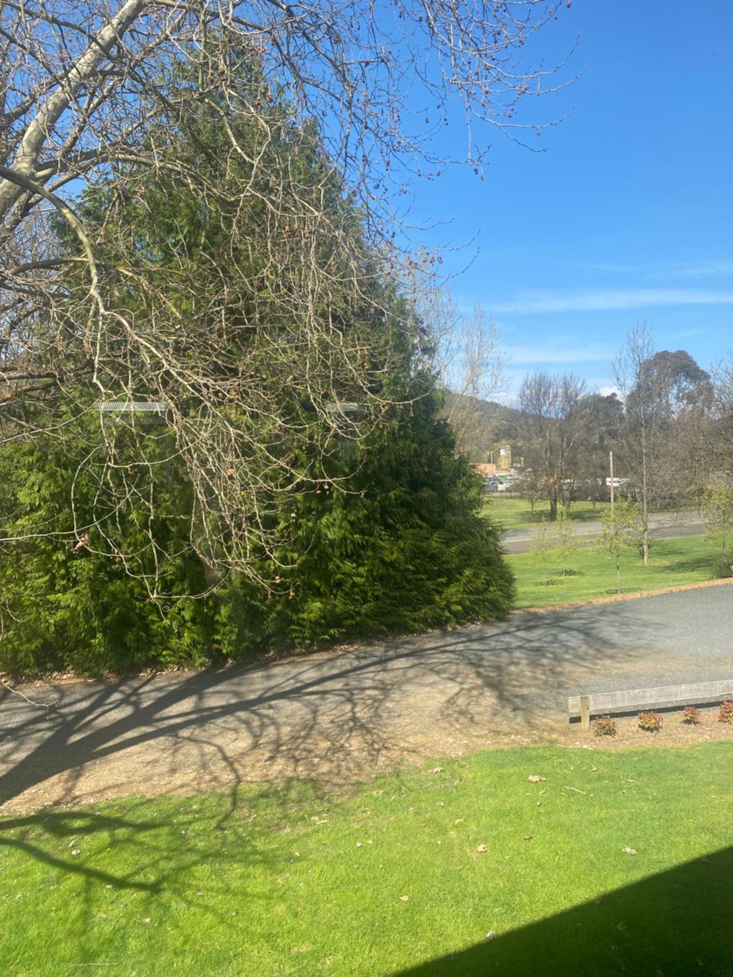 Tumbarumba Motel & Elms Restaurant Екстер'єр фото